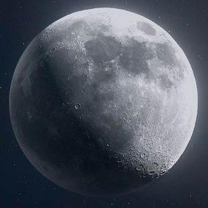 Meet your Posher, Peter